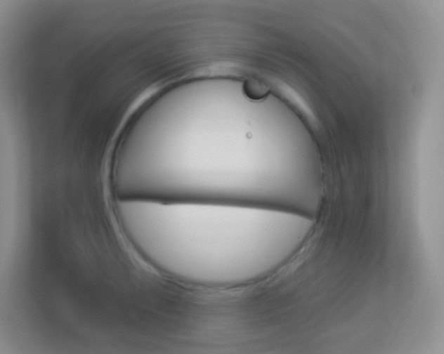 X0000113901087200909241157