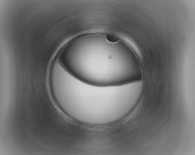 X0000113901093200909241157