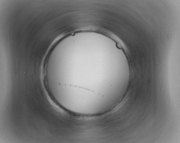 X0000113901095200909241157