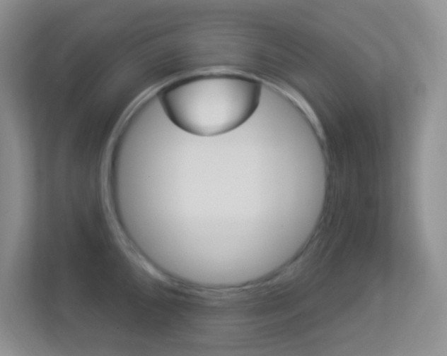 X0000113901096200909241157
