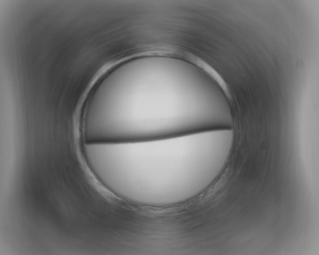 X0000113901099200909241157
