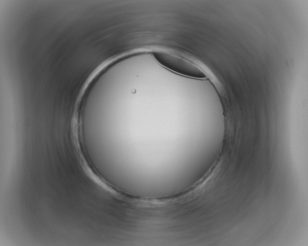 X0000113901100200909241157