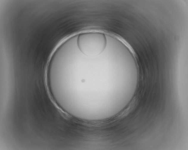 X0000113901101200909241157