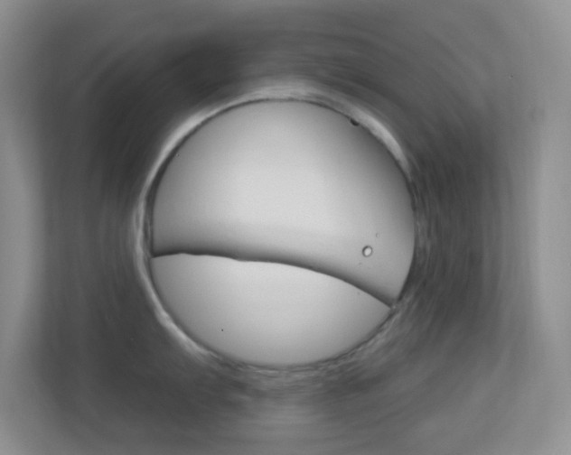 X0000113901103200909241157