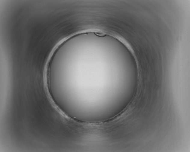 X0000113901104200909241157