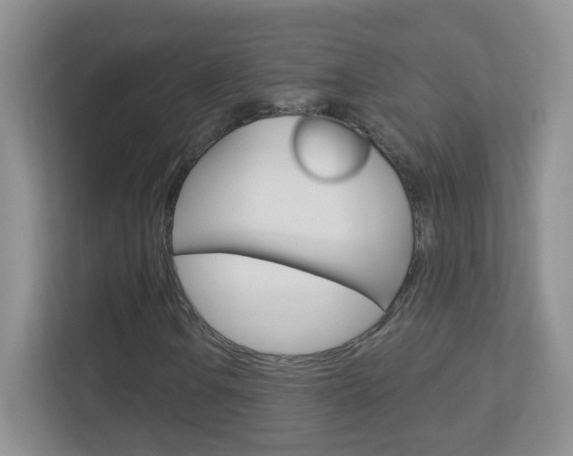 X0000113901106200909241157
