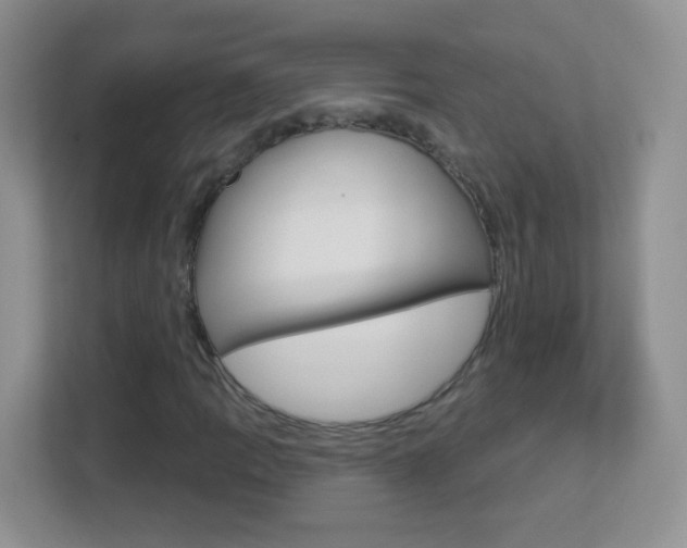 X0000113901109200909241157