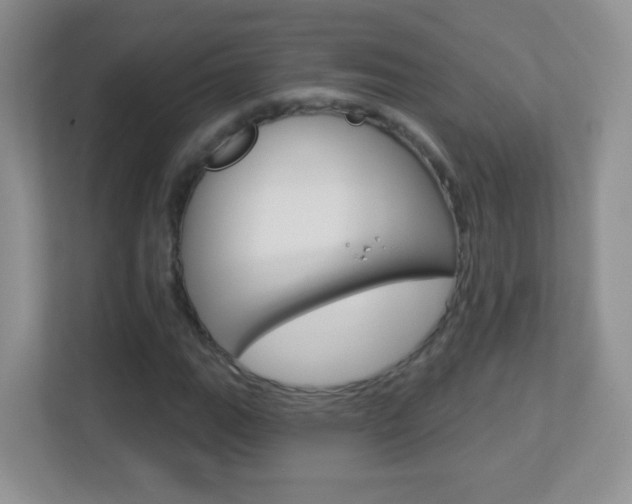 X0000113901111200909241157