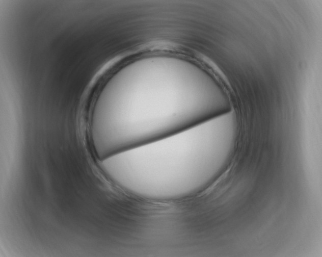 X0000113901115200909241157