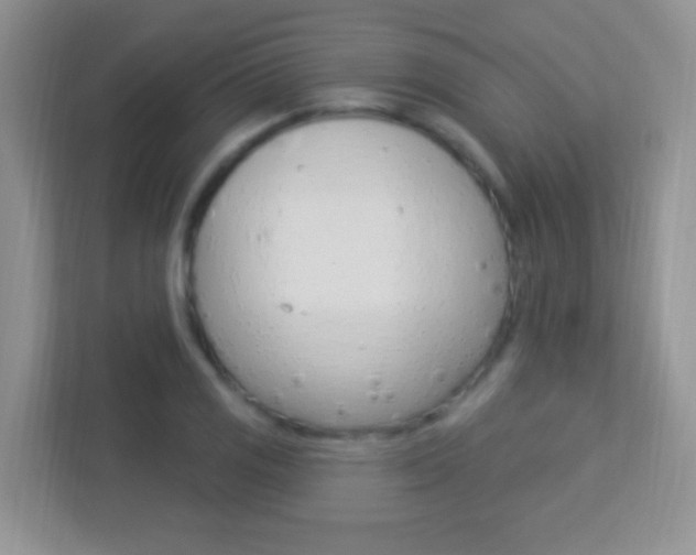 X0000113901125200909241157