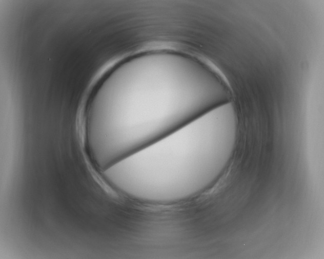 X0000113901127200909241157