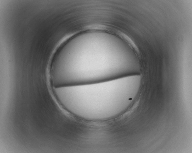 X0000113901133200909241157