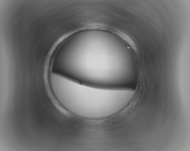 X0000113901136200909241157