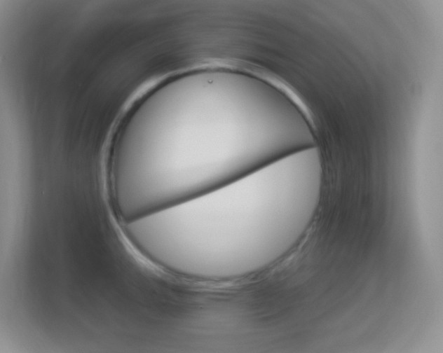 X0000113901143200909241157