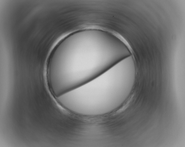 X0000113901149200909241157