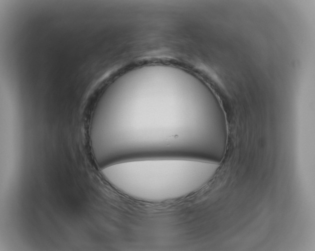 X0000113901159200909241156