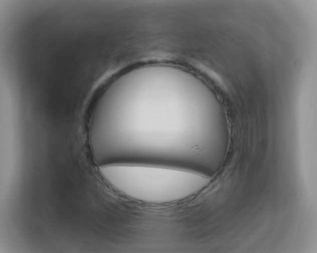 X0000113901160200909241156