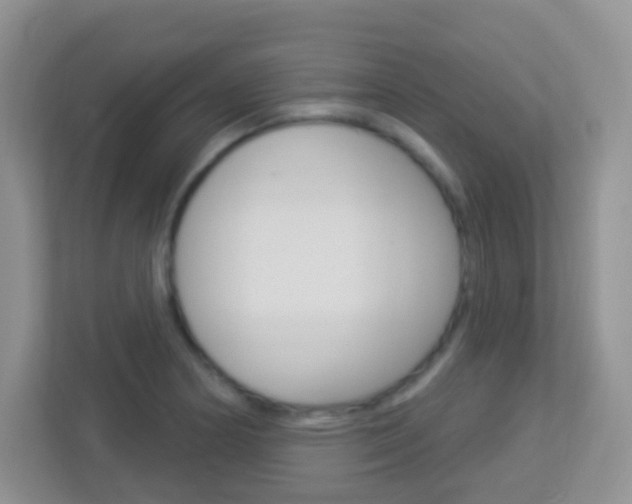 X0000113901178200909241156