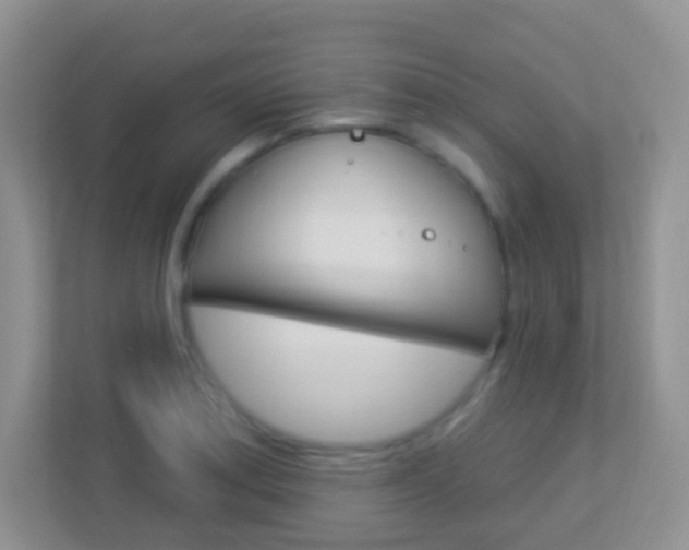 X0000113901179200909241156