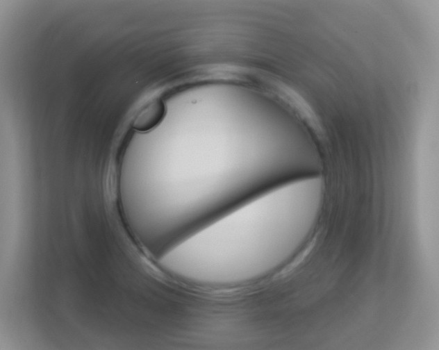 X0000113901180200909241156