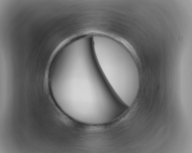 X0000113901183200909241156