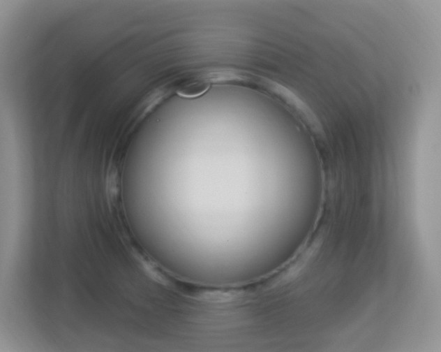 X0000113901185200909241156