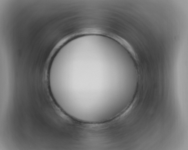 X0000113901192200909241156