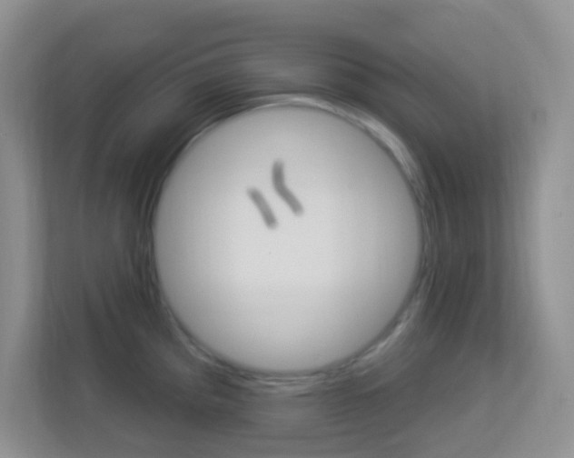 X0000113901193200909241156