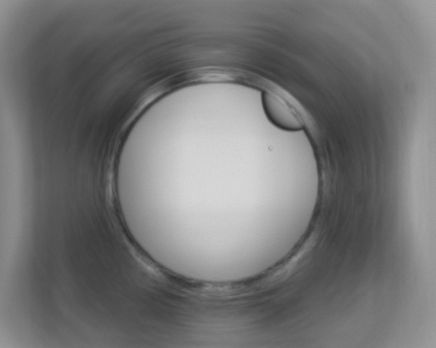 X0000113901194200909241156