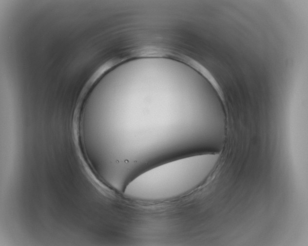 X0000113901195200909241156