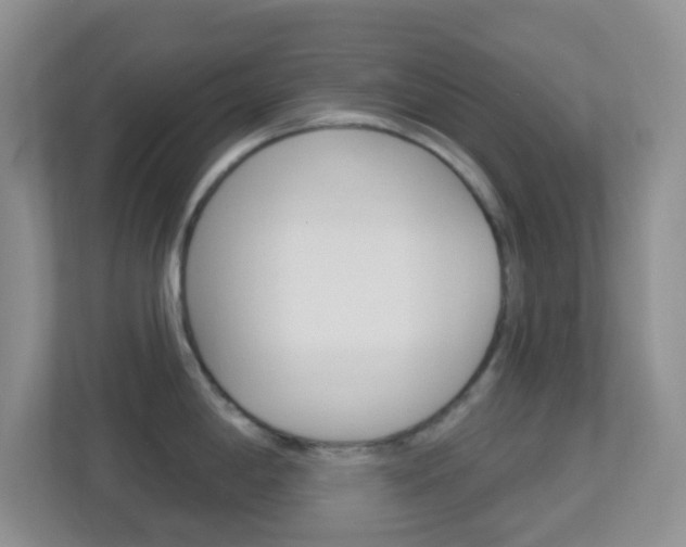 X0000113901198200909241156