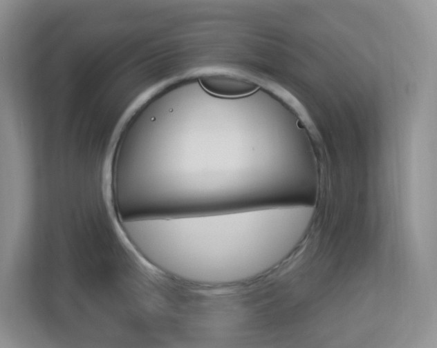 X0000113901199200909241156