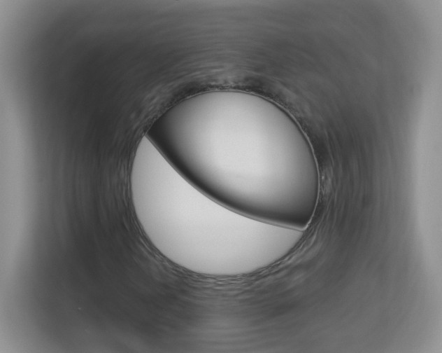 X0000113901202200909241155
