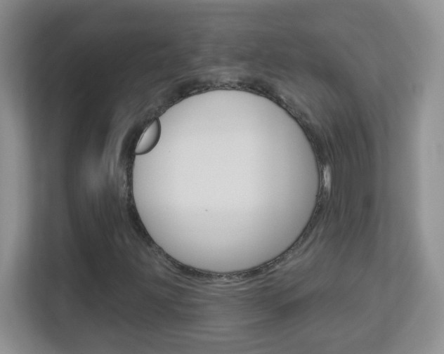 X0000113901203200909241155