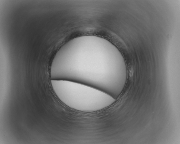 X0000113901204200909241155