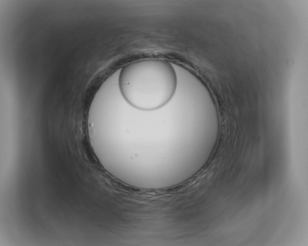 X0000113901205200909241155