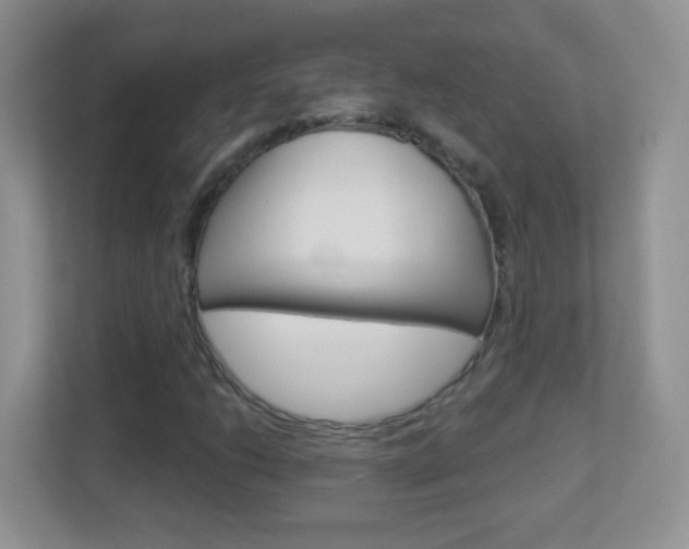 X0000113901206200909241155