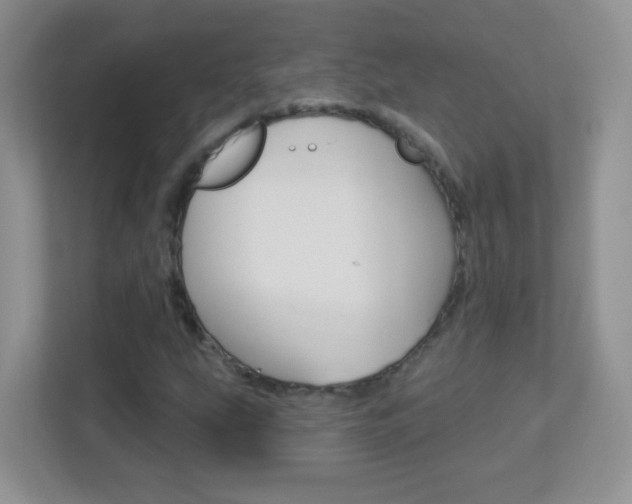 X0000113901207200909241155