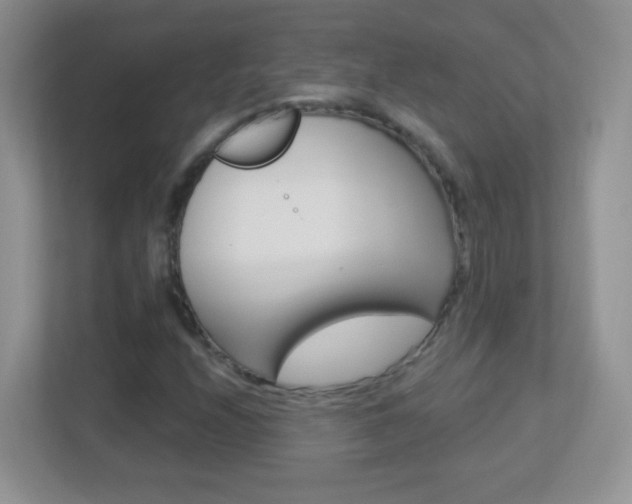 X0000113901208200909241155