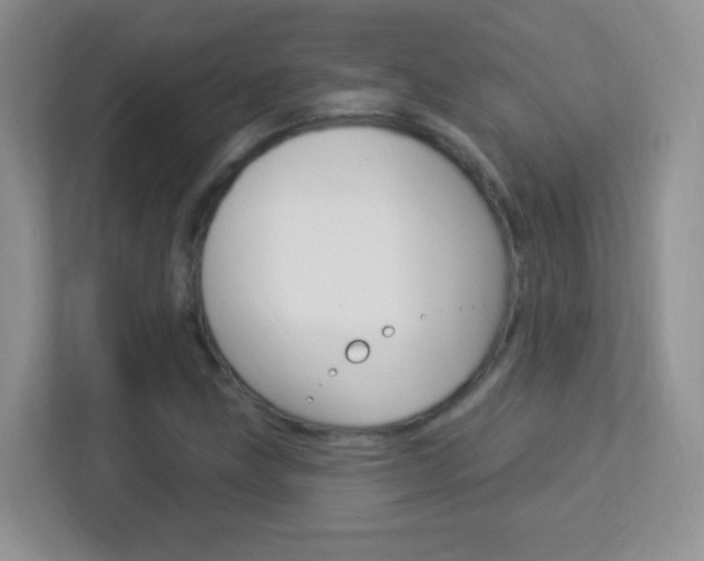 X0000113901211200909241155