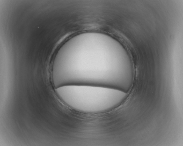 X0000113901212200909241155