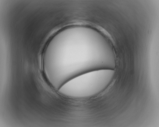 X0000113901223200909241156