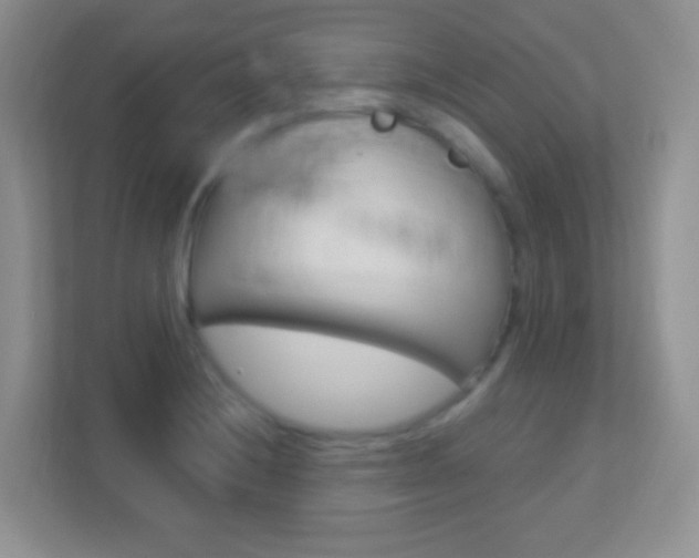 X0000113901228200909241156