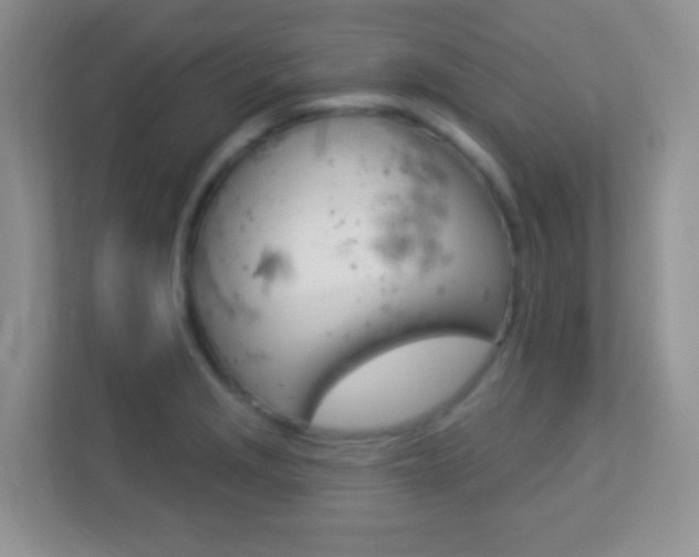 X0000113901229200909241156
