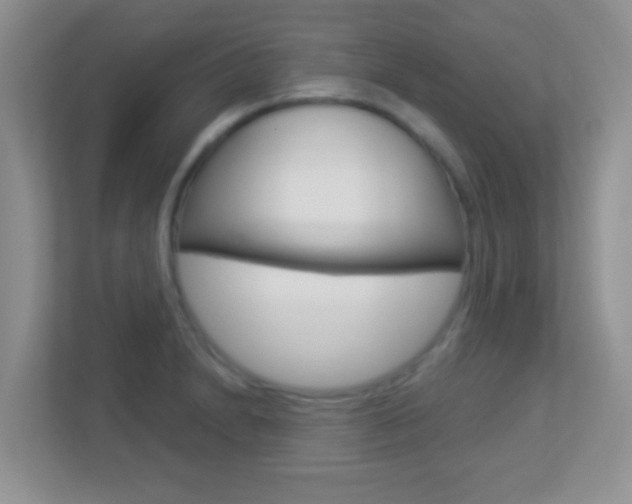 X0000113901230200909241156