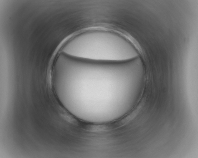 X0000113901232200909241156