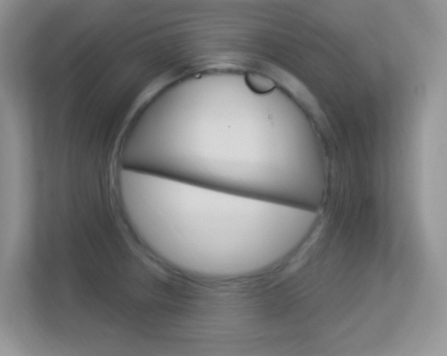 X0000113901234200909241156
