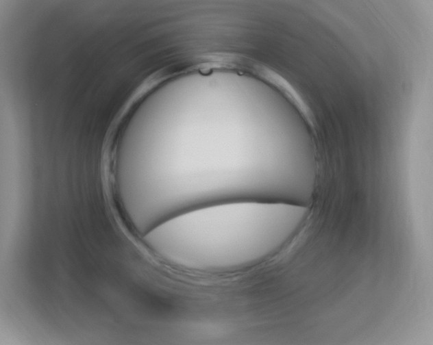 X0000113901235200909241156