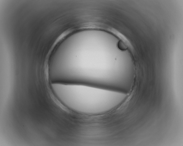 X0000113901238200909241156