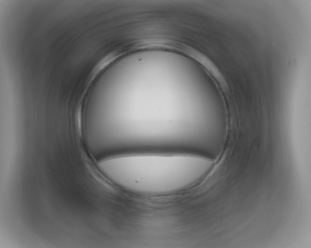 X0000113901242200909241156